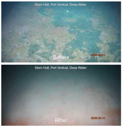 クリーニング_before after画像