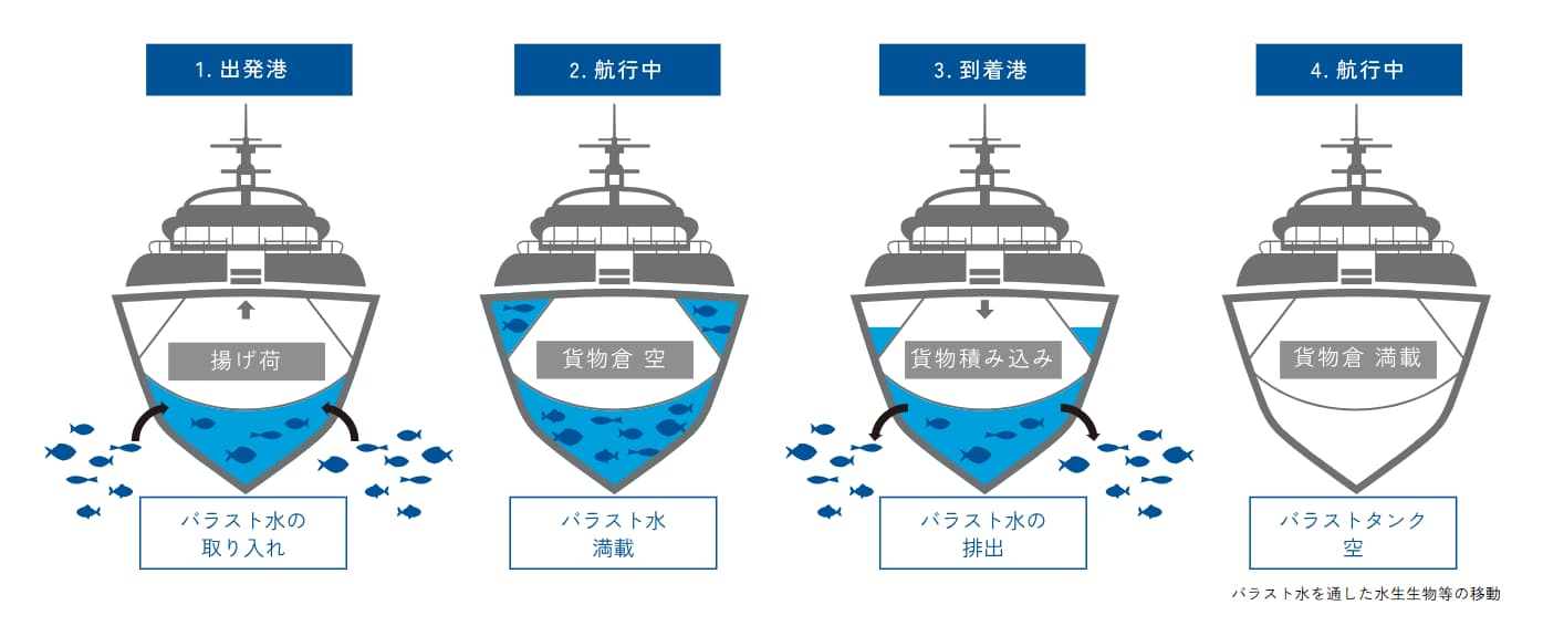バラスト水管理