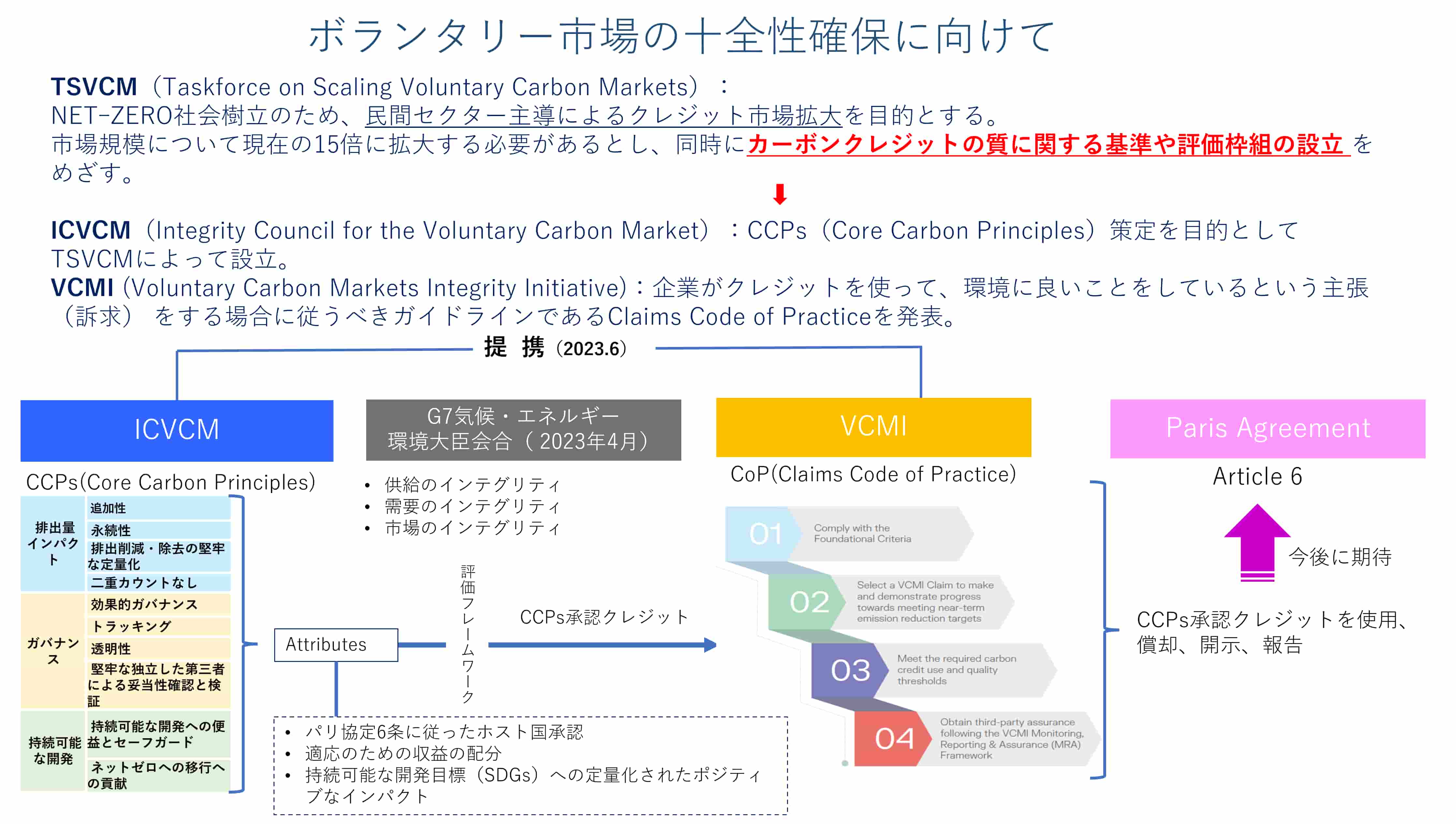 ボランタリー市場の十全性確保に向けて