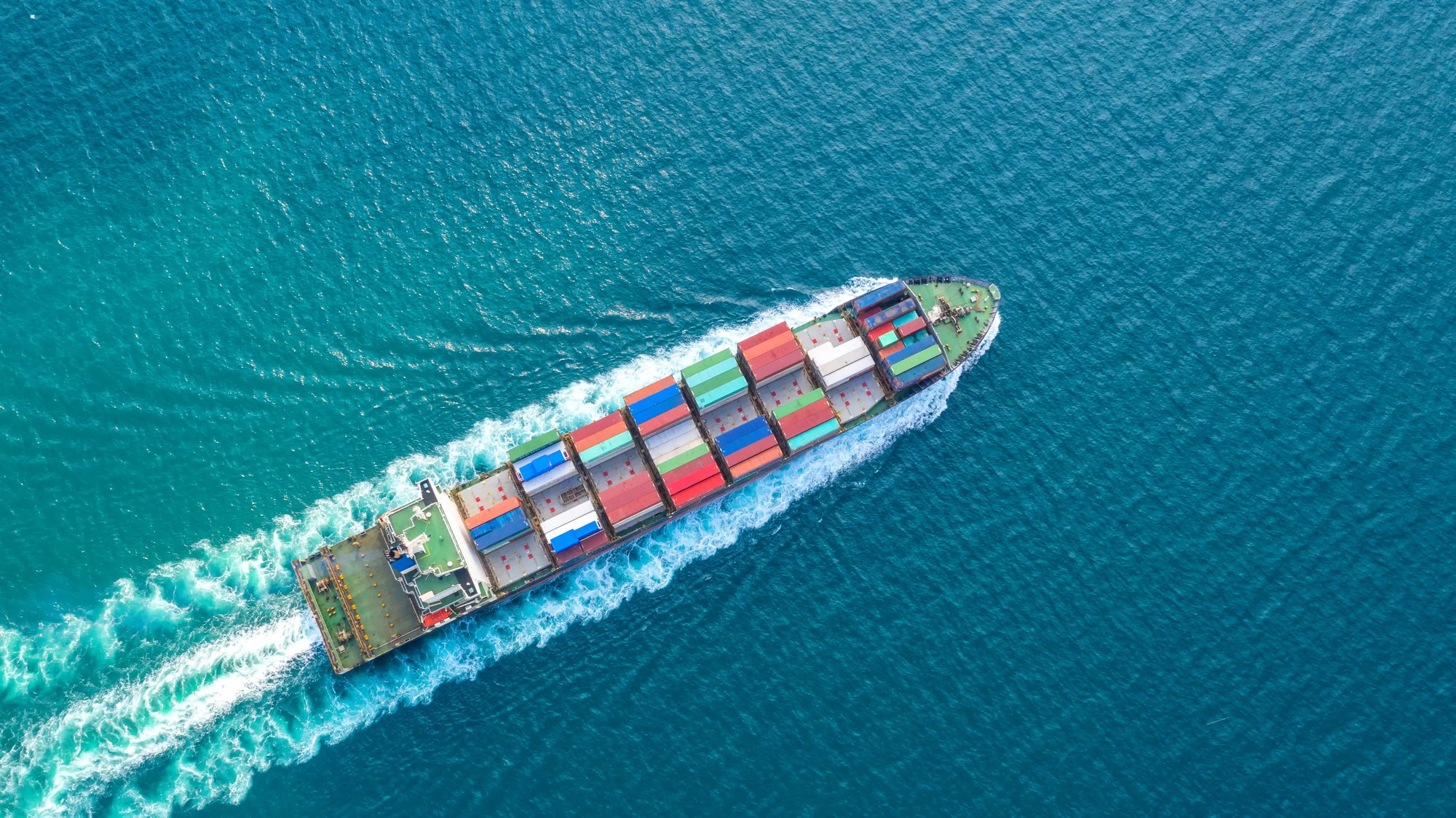 BLUE ACTION NET-ZERO ALLIANCE (Carbon Inset / Book and Claim Program) | Educational resource and FAQ