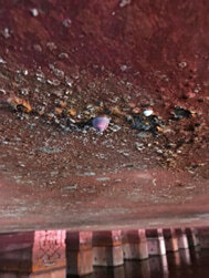 船底に付着したフジツボ等の海洋生物