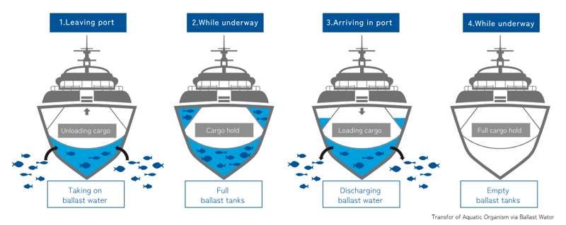 Transfer of Aquatic Organism via Ballast Water