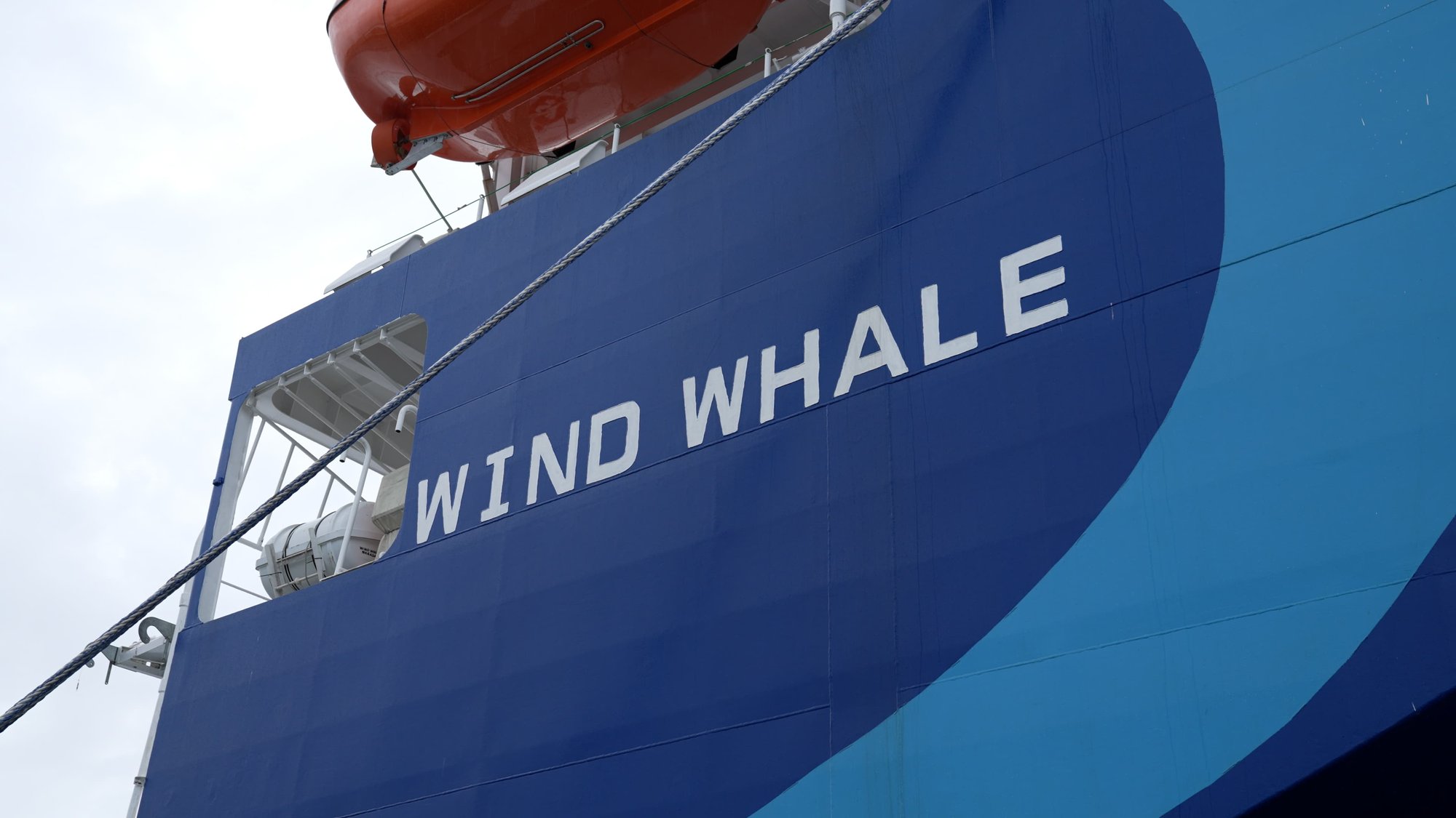 WIND WHALE4