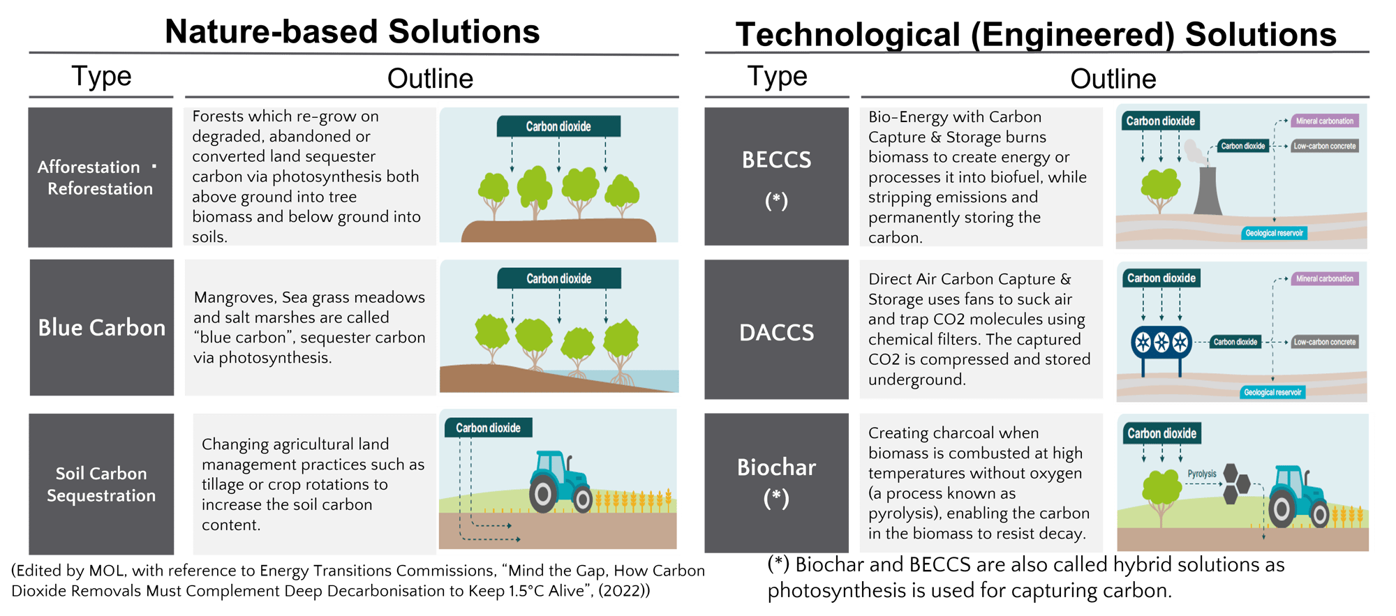 en_carbon_business4