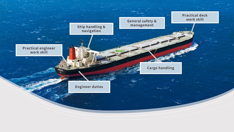 Diagram of Training Menu
