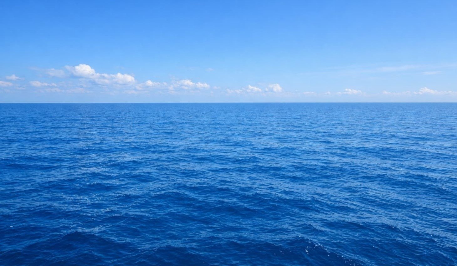 (TOP用)代替燃料の導入 ADOPT ALTERNATIVE FUELS-1