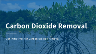 CDR Carbon Dioxide Removal
