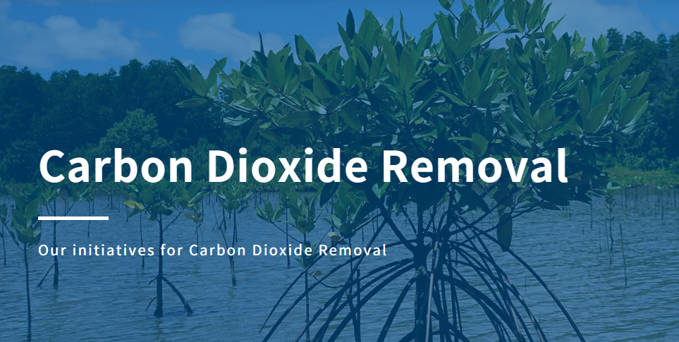 MOL Carbon Dioxide Removal CDR