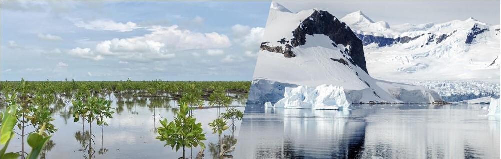 MOL’s Carbon Dioxide Removal (CDR) Initiatives Aiming for Net Zero GHG Emissions with Reduction and Removal