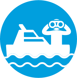 WP Icon 2